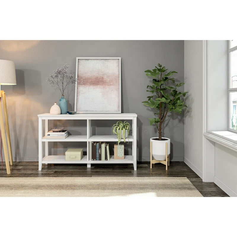 Edenton Wide Low 54W Bookcase with 2 Shelves, White